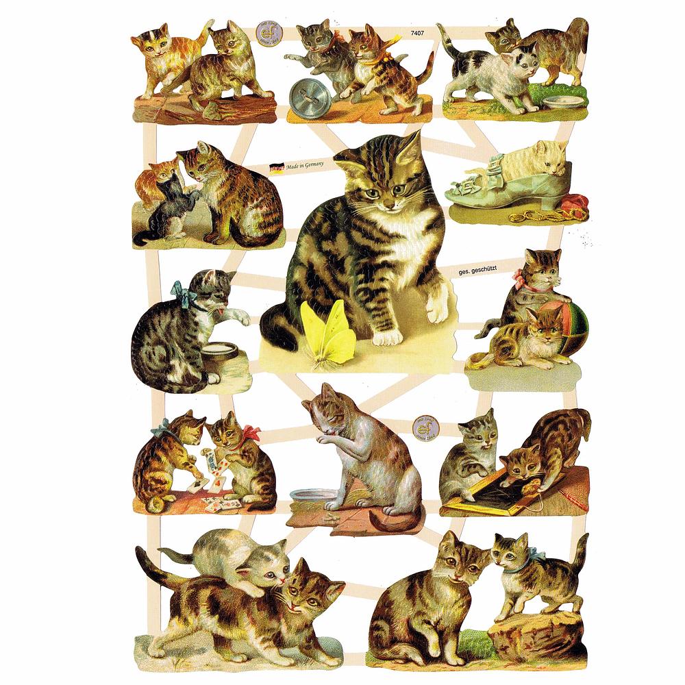 EF 7407 Kittens.jpg
