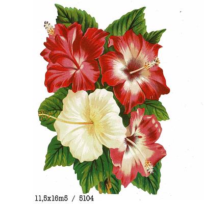 EF 5104 flowers.jpg