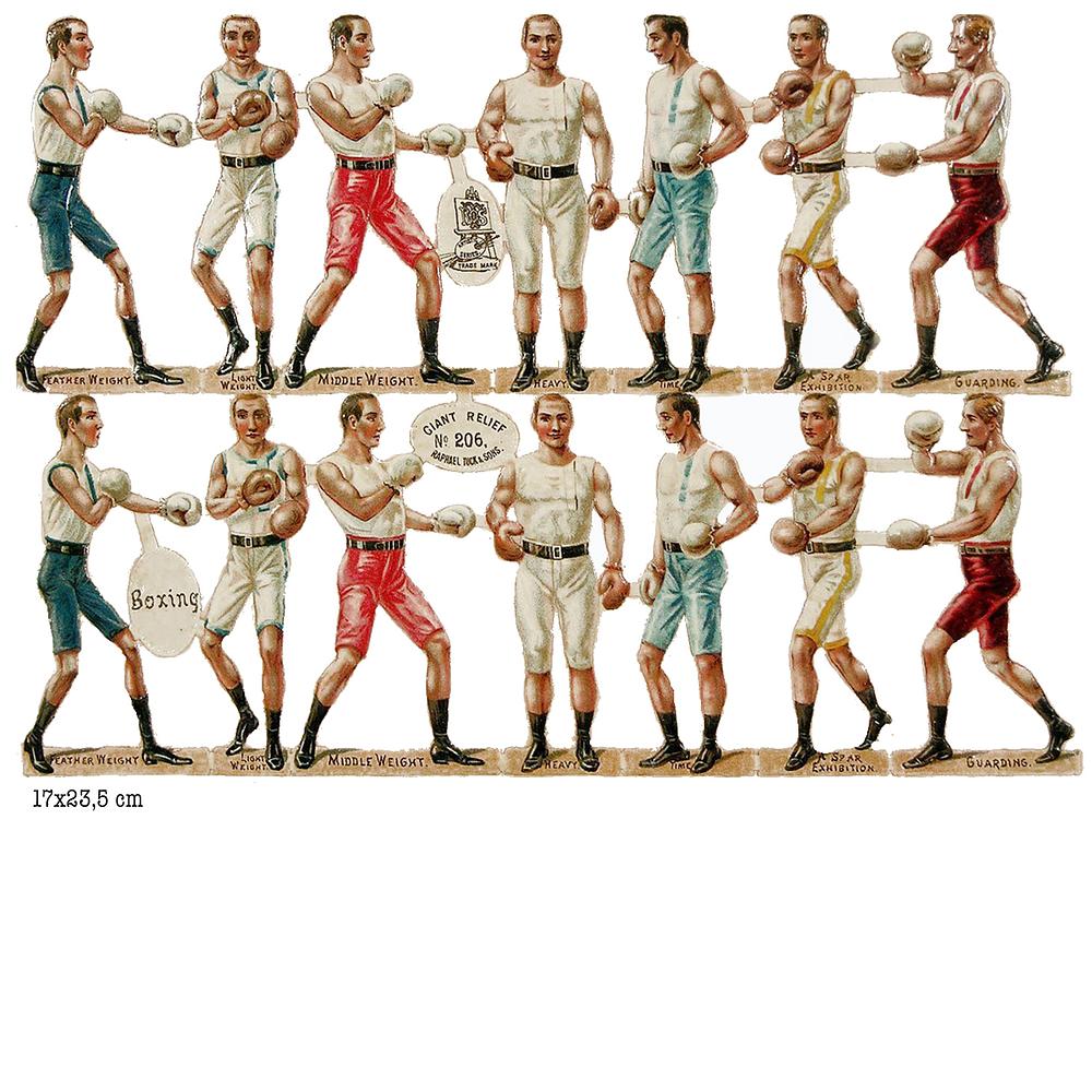 R.Tuck 206 boxing 1.jpg